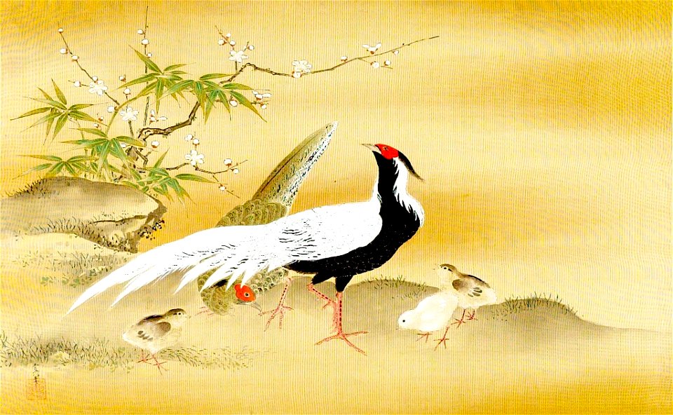 Kano Tsunenobu - White and Black Pheasants, Chickens, Bamboo and Plum - 1943.56.21.5 - Harvard Art Museums