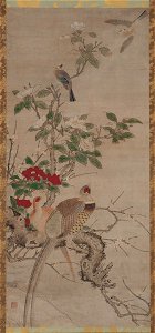Kano Sanraku - Seasonal Birds and Flowers - 2017.227 - Arthur M. Sackler Museum