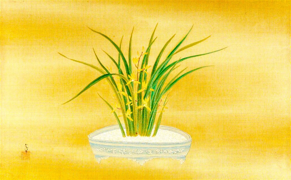 Kano Tsunenobu - Orchid in Bloom in a Porcelain Dish - 1943.56.21.1 - Arthur M. Sackler Museum