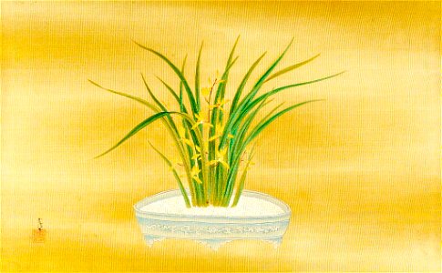 Kano Tsunenobu - Orchid in Bloom in a Porcelain Dish - 1943.56.21.1 - Arthur M. Sackler Museum