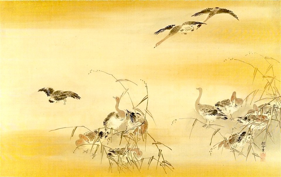 Kano Tansetsu - Descending Geese - 1943.56.21.24 - Harvard Art Museums
