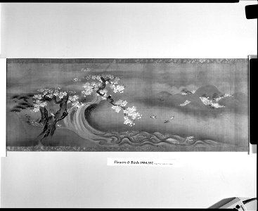 Kano Tsunenobu - Flower and Bird Illustrations (Kachō emakimono) - 1984.352 - Arthur M. Sackler Museum