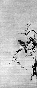 Kano Tanshin (Morimasa) - Dove on Plum Tree - 36.100.78 - Metropolitan Museum of Art