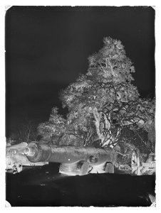 Kanoner i vinterlandskap - Livrustkammaren - 77132-negative