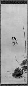 Kano Tsunenobu - Swallow - 60.86.1 - Metropolitan Museum of Art
