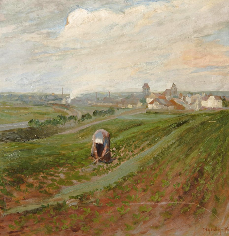 Karel Nejedlý Blick auf Český Brod