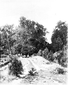 Karl Bennewitz von Löfen d.Ä.- Waldweg