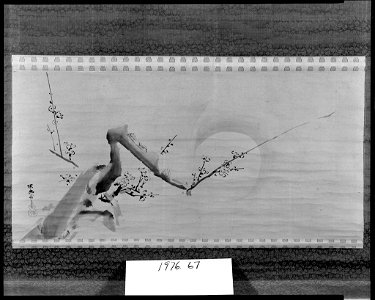 Kano Tan'yū - Blossoming Plum Branch and Moon - 1976.67 - Arthur M. Sackler Museum
