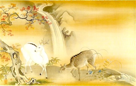 Kano Tansetsu - Black-and-White Deer Under Maple Tree by a Waterfall - 1943.56.21.23 - Harvard Art Museums