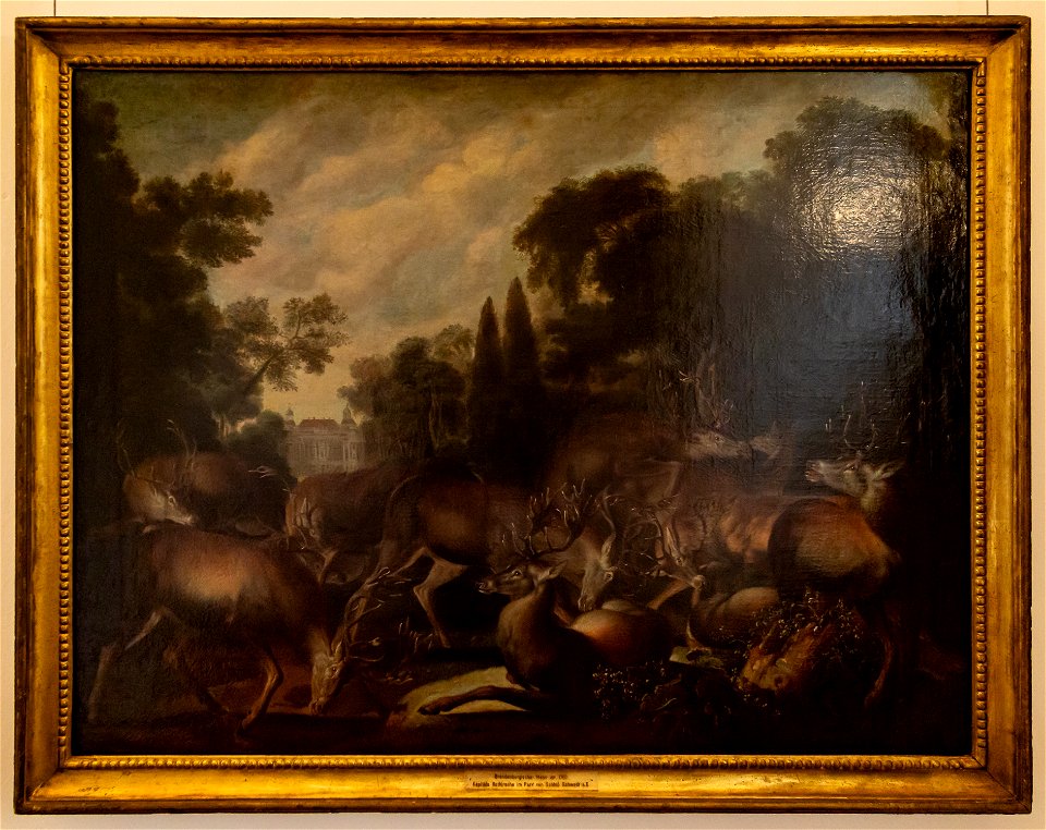 Kapitale Rothirsche im Park von Schloss Schwedt-4867