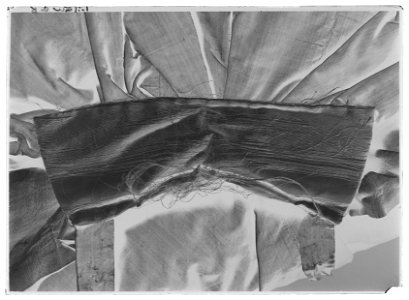Kappa till Karl XIV Johans serafimerdräkt - Livrustkammaren - 70358-negative