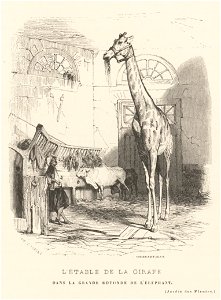 Karl Girardet, L'étable de la girafe dans la grande rotonde de l'éléphant, 1842