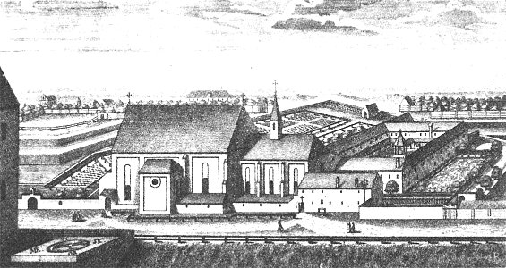 Kapuziner 01