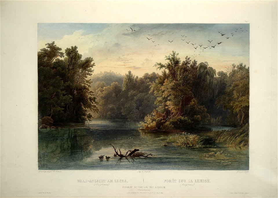 Karl Bodmer Travels in America (34)