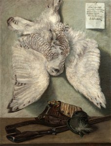 Karel Purkyně - Snowy Owl - Google Art Project. Free illustration for personal and commercial use.