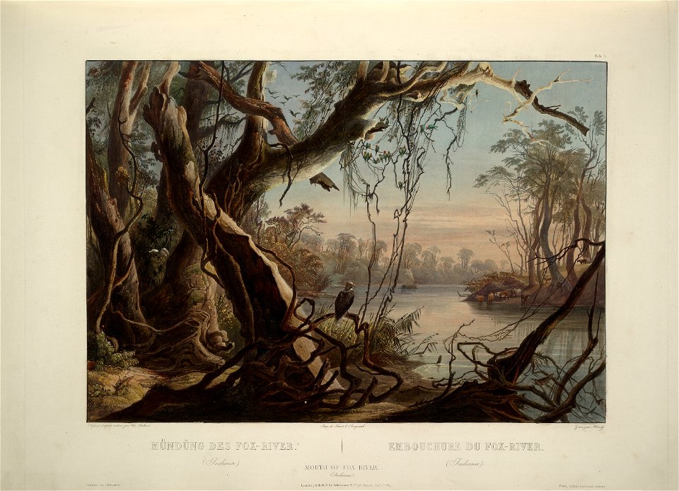 Karl Bodmer Travels in America (38)