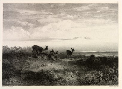 Karl Bodmer (Swiss, 1809-1893) - Landscape with Deer - 1985.151 - Cleveland Museum of Art