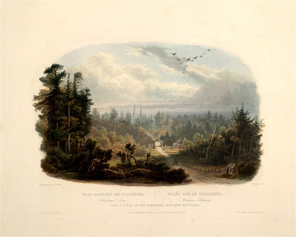 Karl Bodmer Travels in America (4)