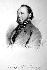 Karl Ludwig Braun-Fernwald Litho