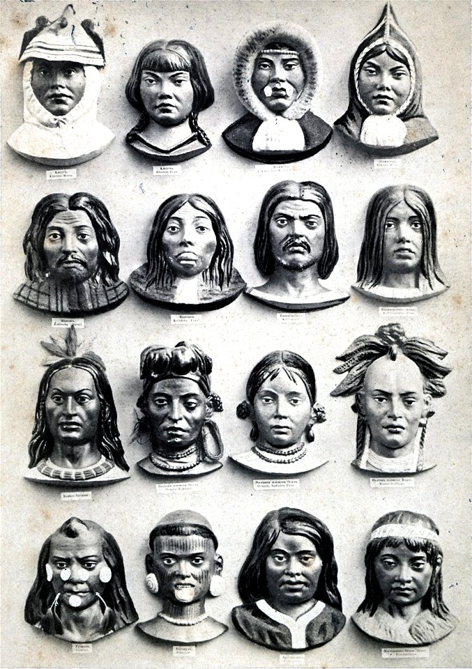 Karl Ernst von Baer Types Principaux des Differents Race Humaines