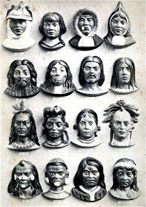 Karl Ernst von Baer Types Principaux des Differents Race Humaines