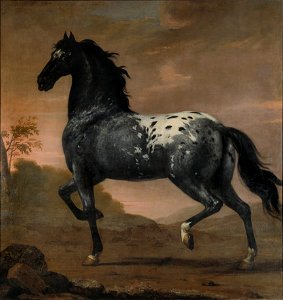 Karl XIs livhäst Blå Tigern (David Klöcker Ehrenstrahl) - Nationalmuseum - 14800