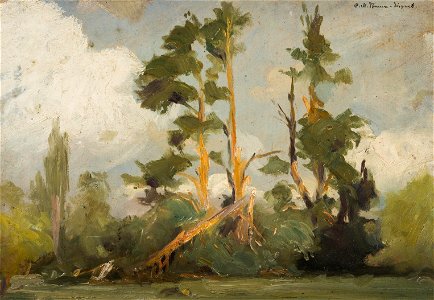 Karl Maria Thuma - Study of Trees