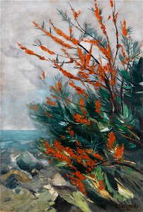 Karl Hagemeister Sanddornstrauch an der Meeresküste 1914