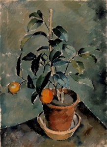 Karl Isakson - Orange Plant - A IV 2945 - Finnish National Gallery