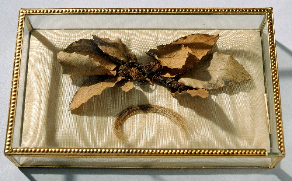 Karl XIIs hårlock från gravöppningen - Livrustkammaren - 30991