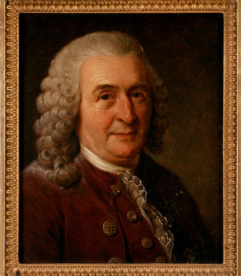 Karl von Linné, 1707-1778 (Johan Gustaf Sandberg) - Nationalmuseum - 39077