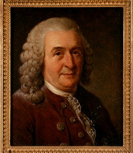 Karl von Linné, 1707-1778 (Johan Gustaf Sandberg) - Nationalmuseum - 39077