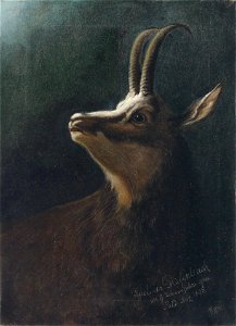 Karl Wilhelm Diefenbach (attr) Kopf einer Gemse 1895