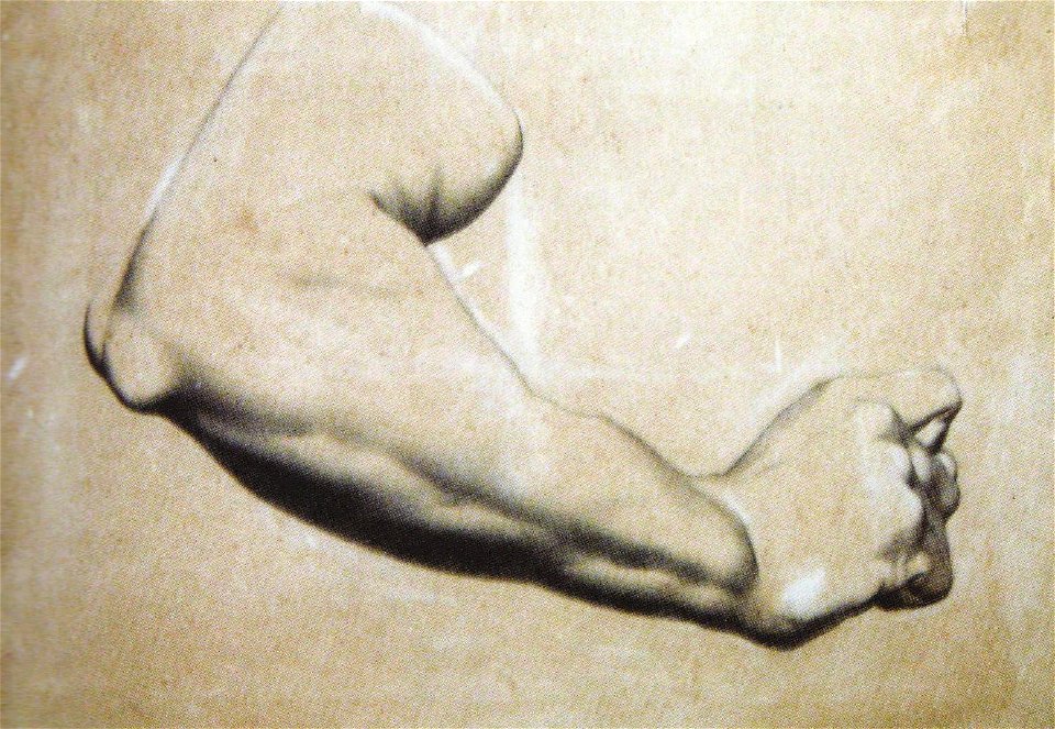 Karl Storck - Studiu de antebrat