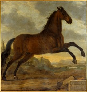 Karl XIs livhäst Sultan (David Klöcker Ehrenstrahl) - Nationalmuseum - 14797