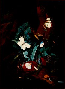 Karl Wilhelm de Hamilton - Forest Still Life - 2003.140 - Rhode Island School of Design Museum