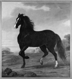 Karl XIs livhäst Pegasus (David Klöcker Ehrenstrahl) - Nationalmuseum - 14796. Free illustration for personal and commercial use.