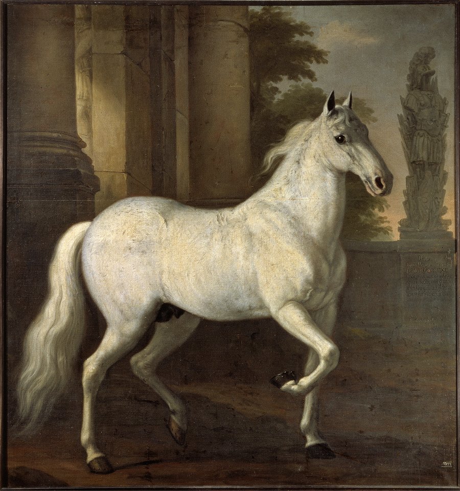 Karl XIs livhäst Brilliant (David Klöcker Ehrenstrahl) - Nationalmuseum - 14793
