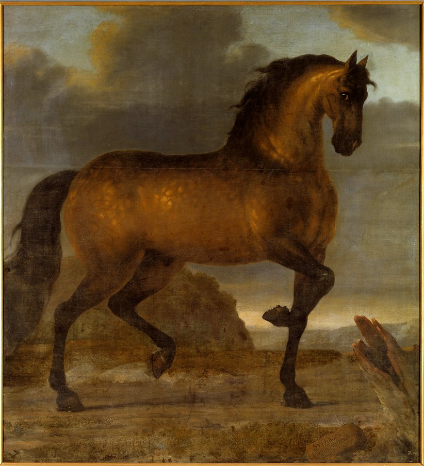 Karl XIs livhäst Stenbock (David Klöcker Ehrenstrahl) - Nationalmuseum - 14802