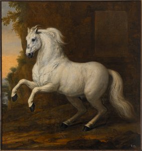 Karl XIs livhäst Kortom (David Klöcker Ehrenstrahl) - Nationalmuseum - 14804