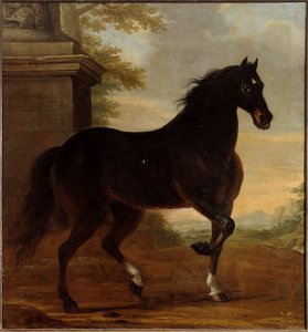Karl XIs livhäst Tott (David Klöcker Ehrenstrahl) - Nationalmuseum - 14801