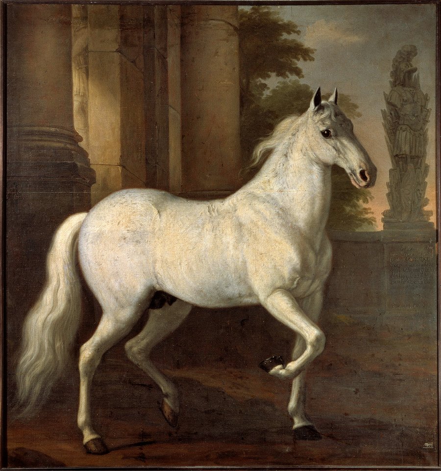 Karl XIs livhäst Brilliant (David Klöcker Ehrenstrahl) - Nationalmuseum - 14793
