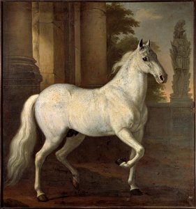 Karl XIs livhäst Brilliant (David Klöcker Ehrenstrahl) - Nationalmuseum - 14793