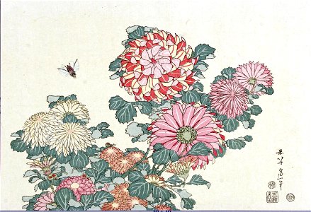 Katsushika Hokusai (1760-1849), Chrysanten met honingbij