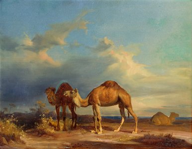 Karol Marko st. - Camels in a Southern Landscape - O 2514 - Slovak National Gallery. Free illustration for personal and commercial use.
