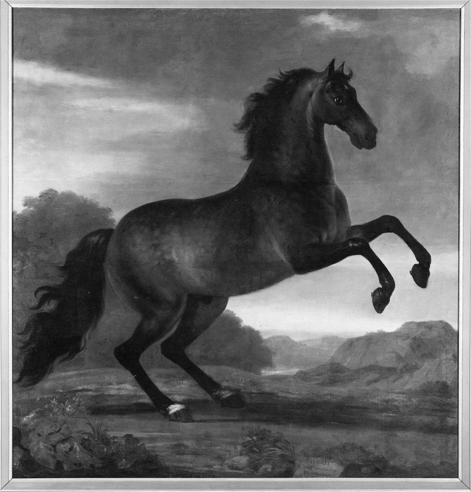 Karl XIs livhäst Favorit Hispanicus (David Klöcker Ehrenstrahl) - Nationalmuseum - 14799
