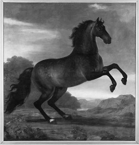 Karl XIs livhäst Favorit Hispanicus (David Klöcker Ehrenstrahl) - Nationalmuseum - 14799