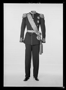 Karl XVs generalsuniform m ordnar - Livrustkammaren - 52760