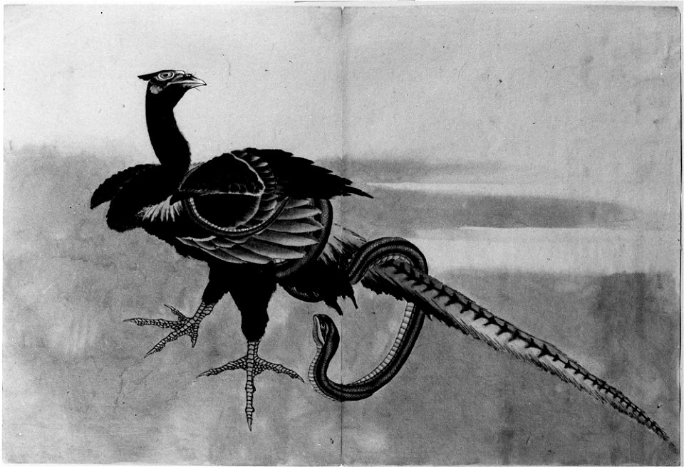 Katsushika Hokusai - Pheasant and Snake - 56.121.28 - Metropolitan Museum of Art