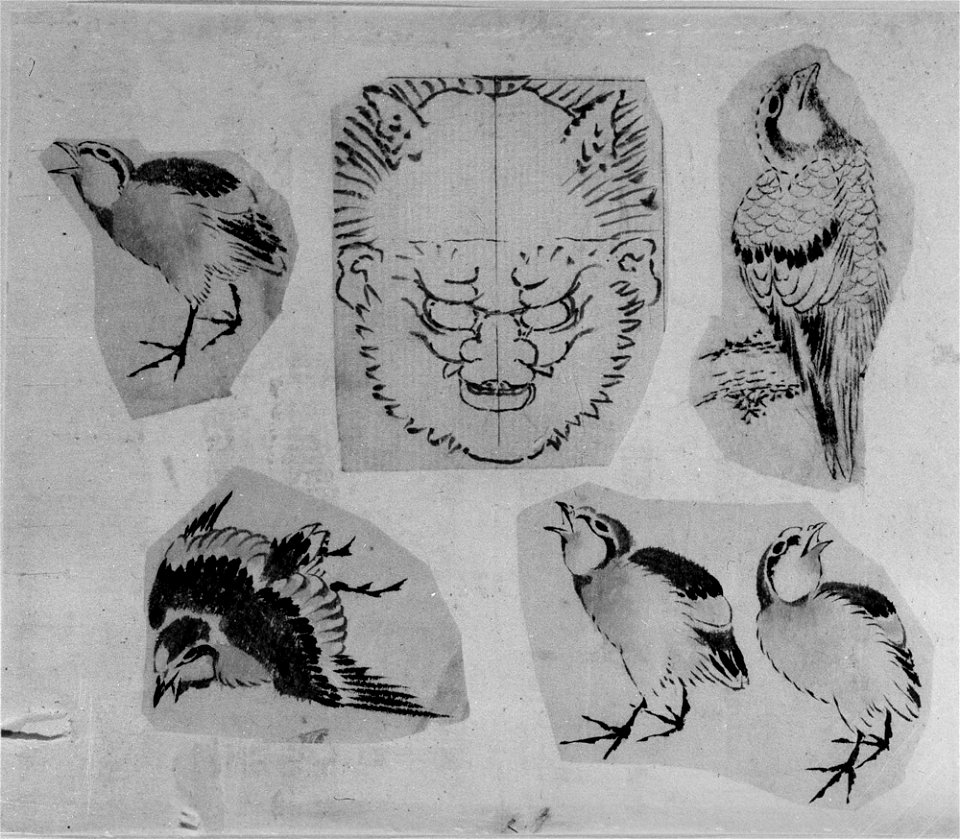 Katsushika Hokusai - Four sketches of birds and one design for a grotesque mask, mounted together - 56.121.42 - Metropolitan Museum of Art